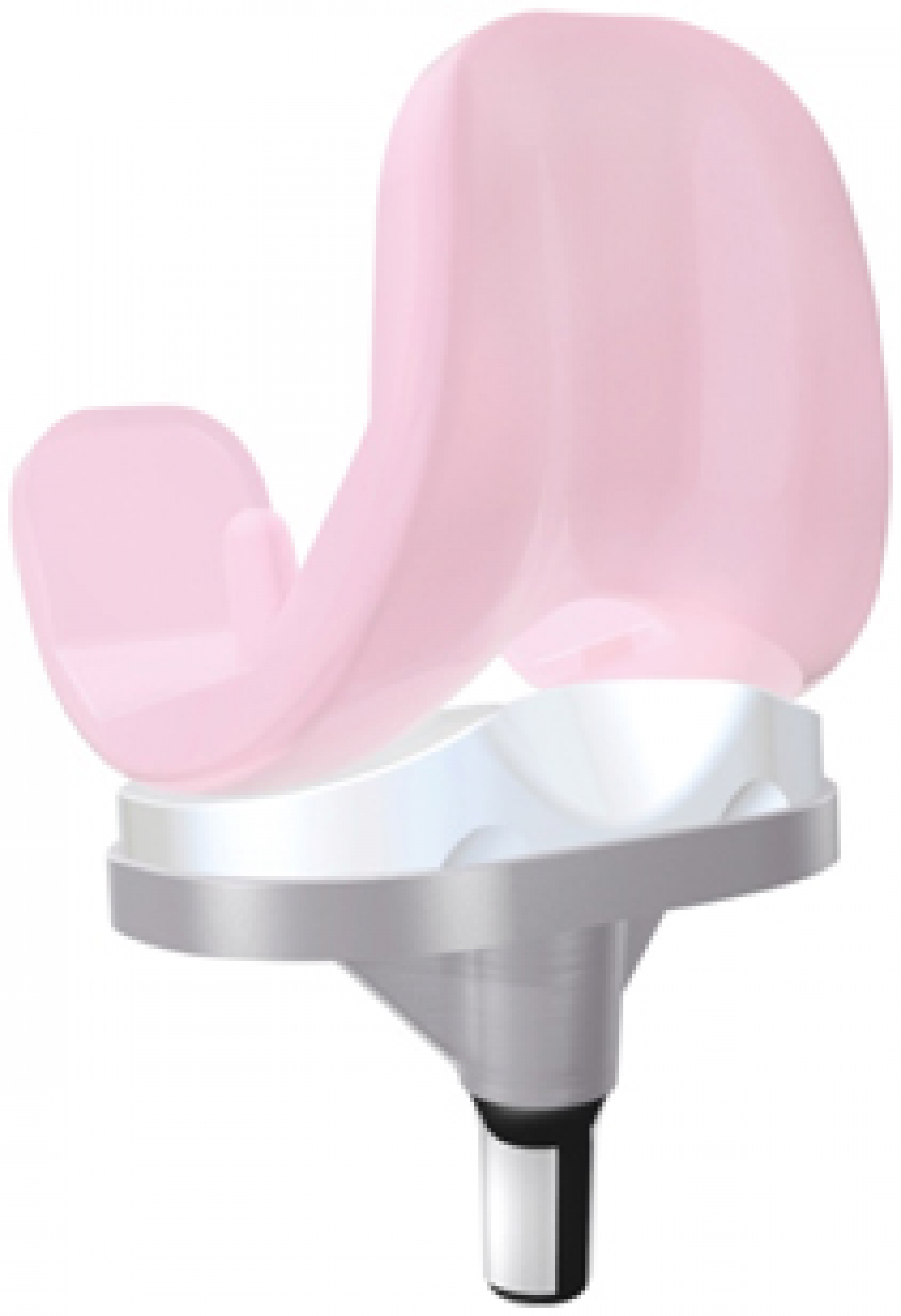 MULTIGEN PLUS CR ( BIOLOX ) MULTIGEN PLUS CR ( BIOLOX )